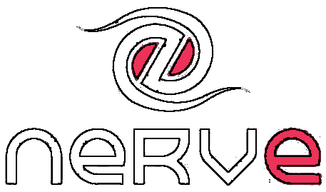 NerveGaming.png